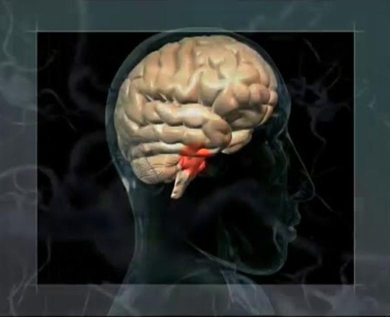 Embedded thumbnail for Deep Brain